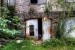 image11