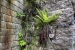 image14