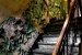 image21