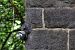 image20
