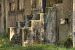 image14