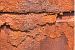 image29