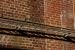 image66