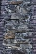 image052