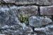 image083