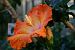 image03