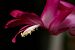 image06