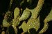image01