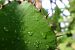 image04