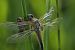 image05