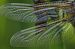 image06