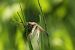 image07