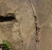 image13