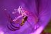 image23
