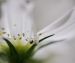 image07
