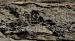 image114