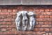image102