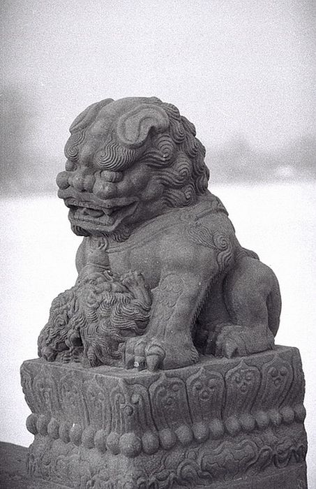 image128