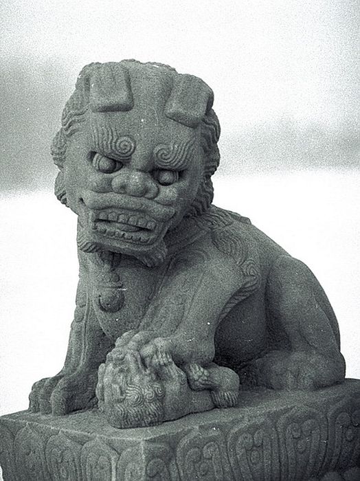 image129