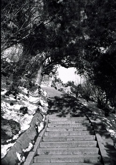 image45