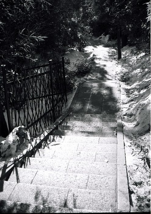 image48
