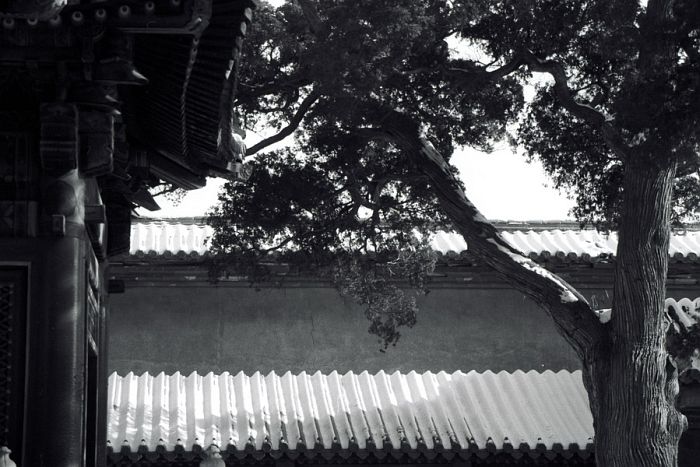 image52