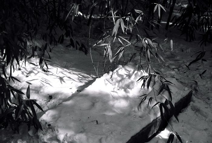 image54