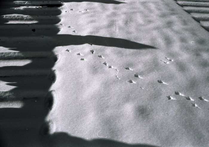 image89
