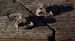 image065