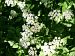 image07