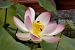 image107