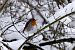 image111