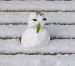 image159