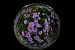 image27