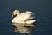 image01
