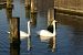 image02