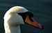 image09