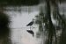 image02