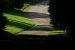 image111