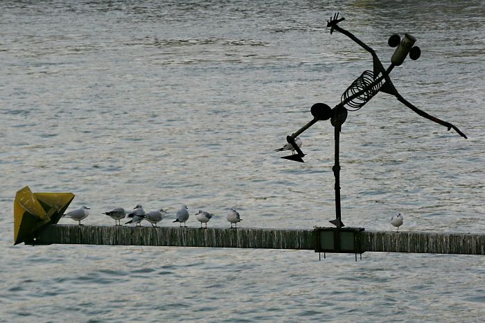image18