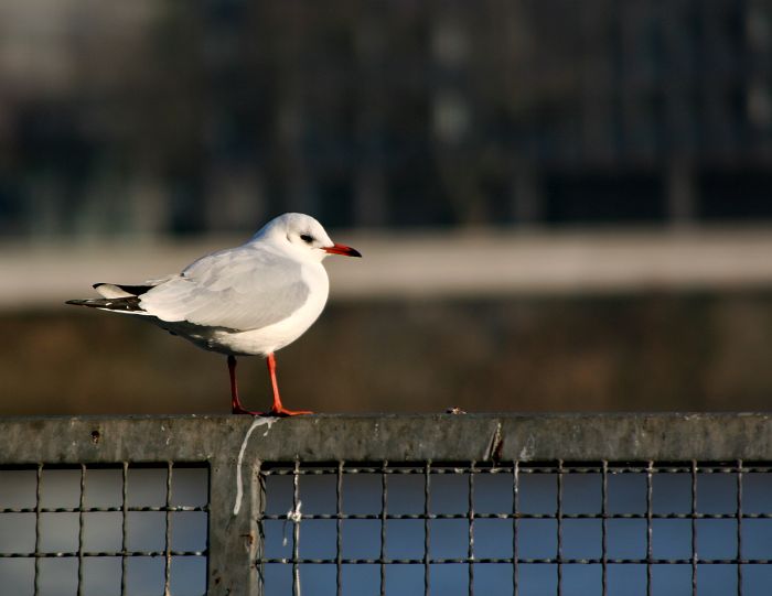 image07