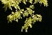 image07