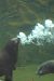 image26