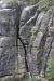 image24