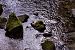 image39