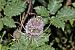 image036