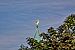 image035