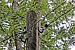 image004