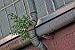 image063