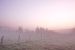image002